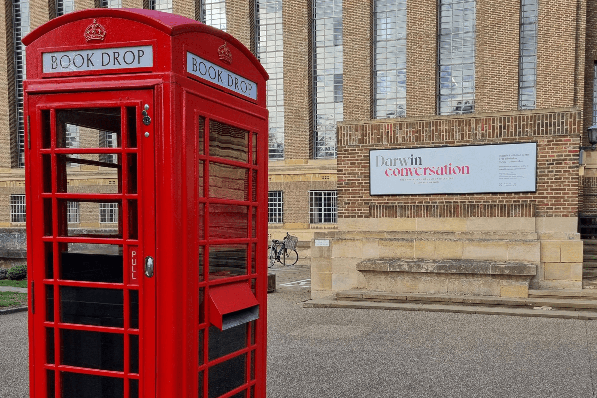 Embracing Eccentricity